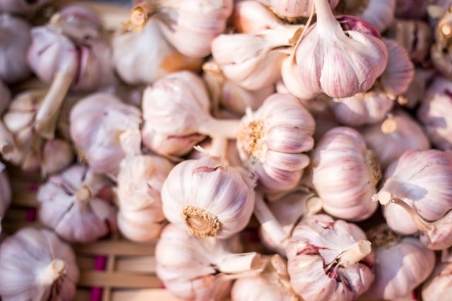 Garlic on the table