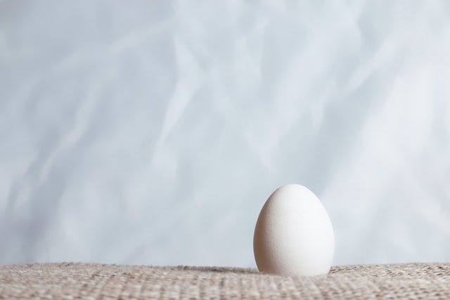 Single white egg