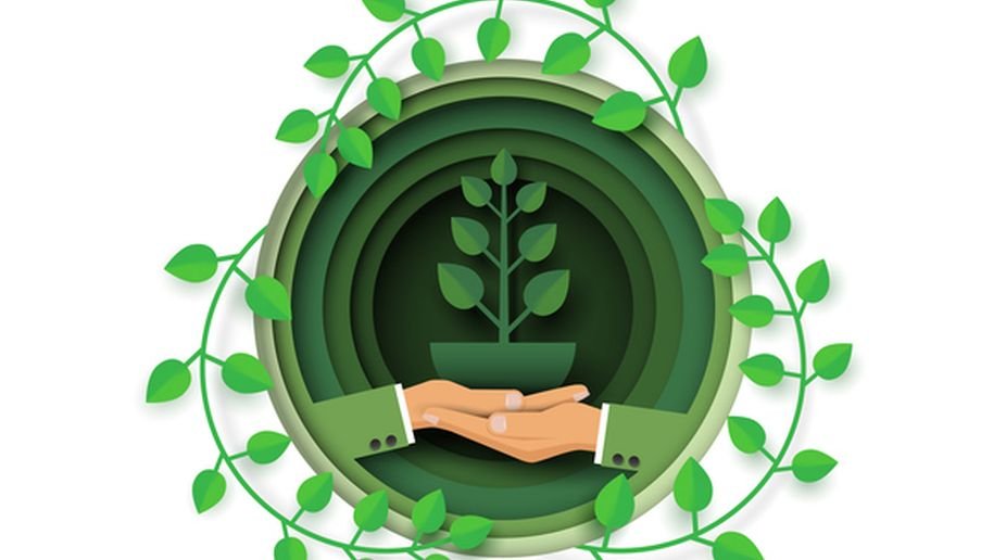 eco-friendly