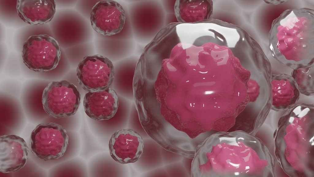 Embryonic Stem Cell