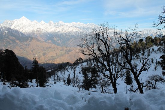 Kalmuni top